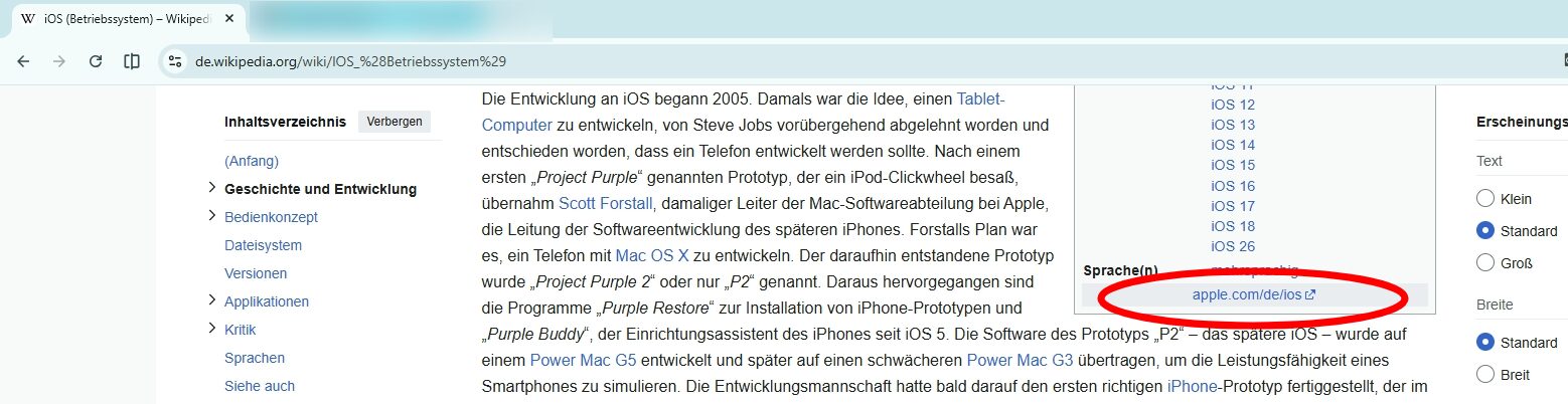 image displaying the german wikipedia page