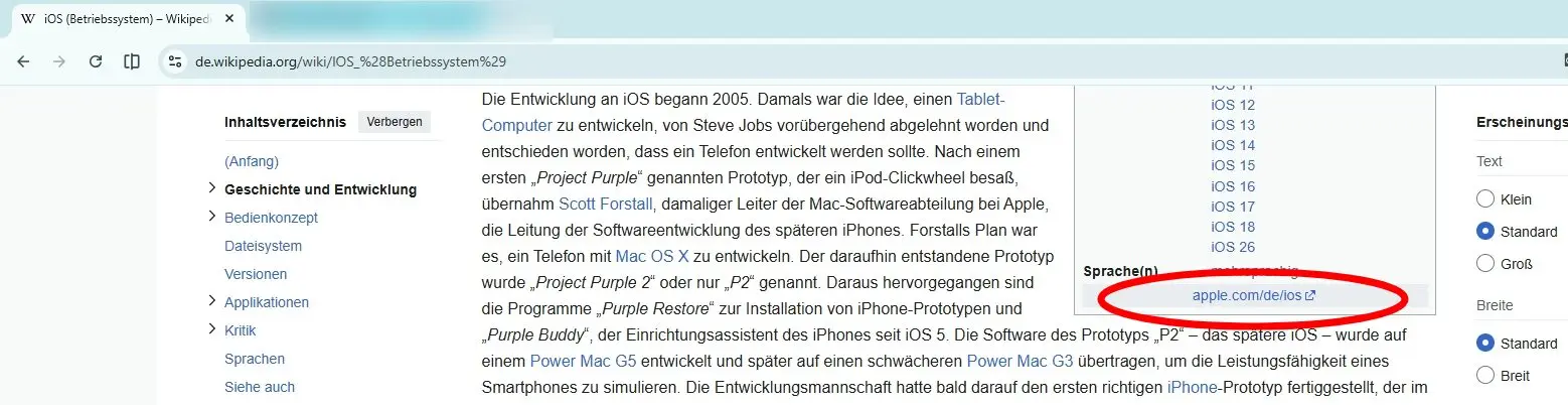 image displaying the german wikipedia page