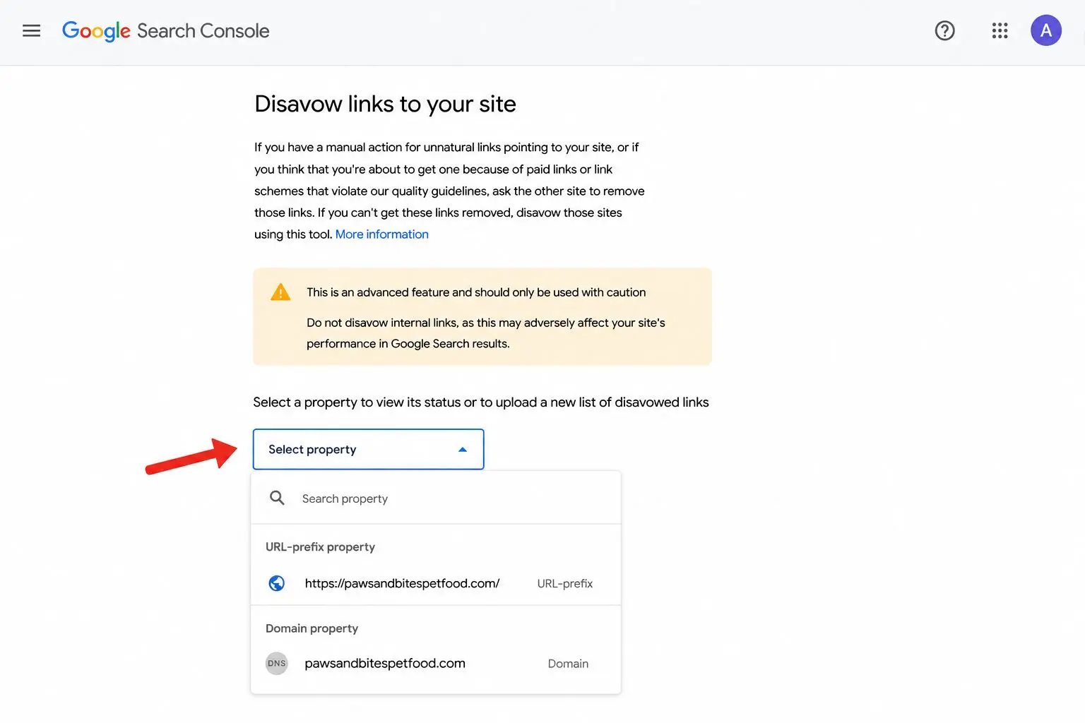 select correct search console property