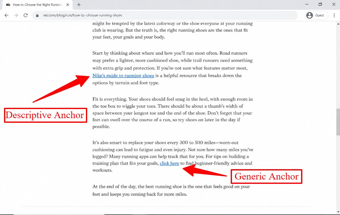 what anchor text is and its two types