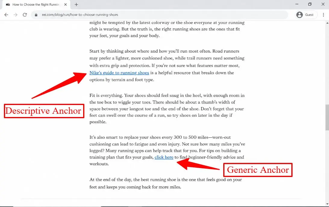 what anchor text is and its two types
