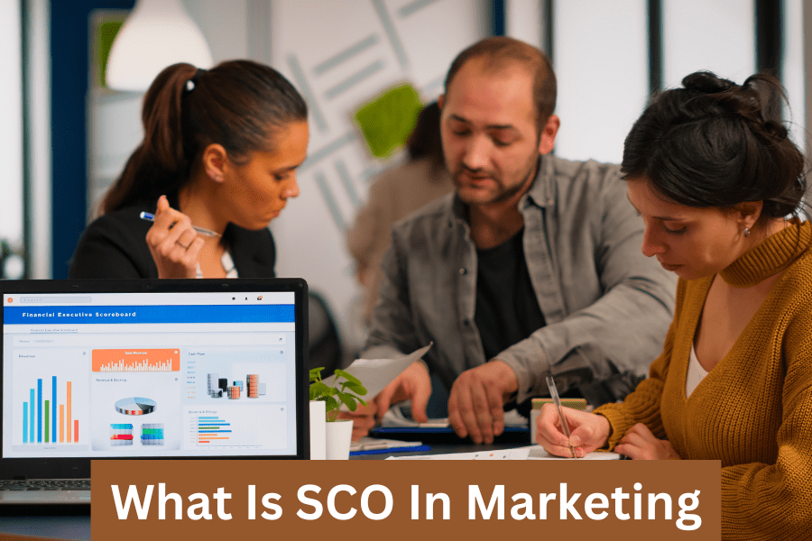 What Is SCO Marketing? – A Beginner’s Guide