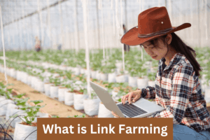 What is Link Farming