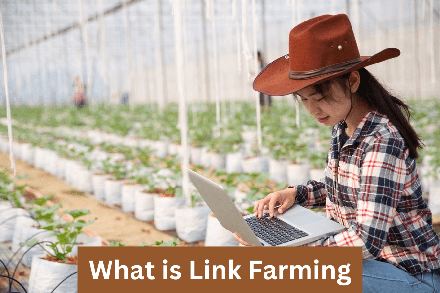 What is Link Farming