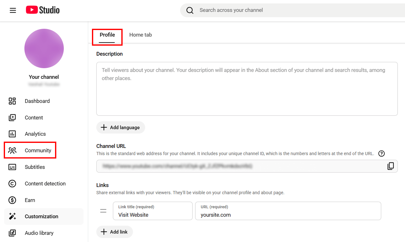 youtube channel about section link