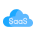 saas & technology