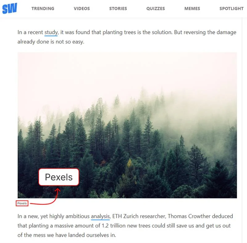 Image backlink example showing ScoopWhoop referencing a Pexels image
