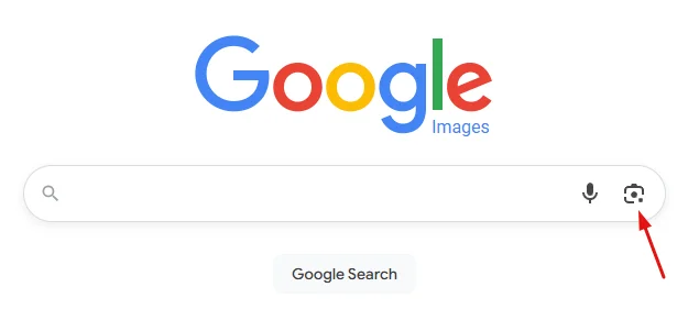 Screenshot of Google Image Search
