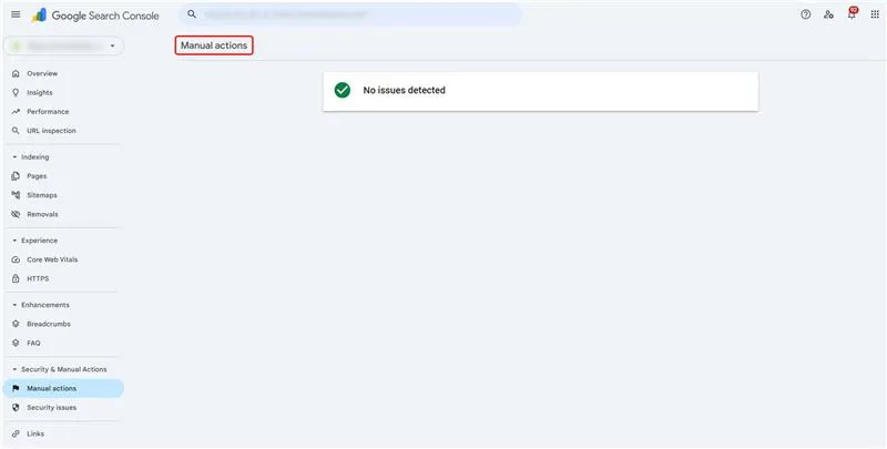 GSC manual actions screenshot