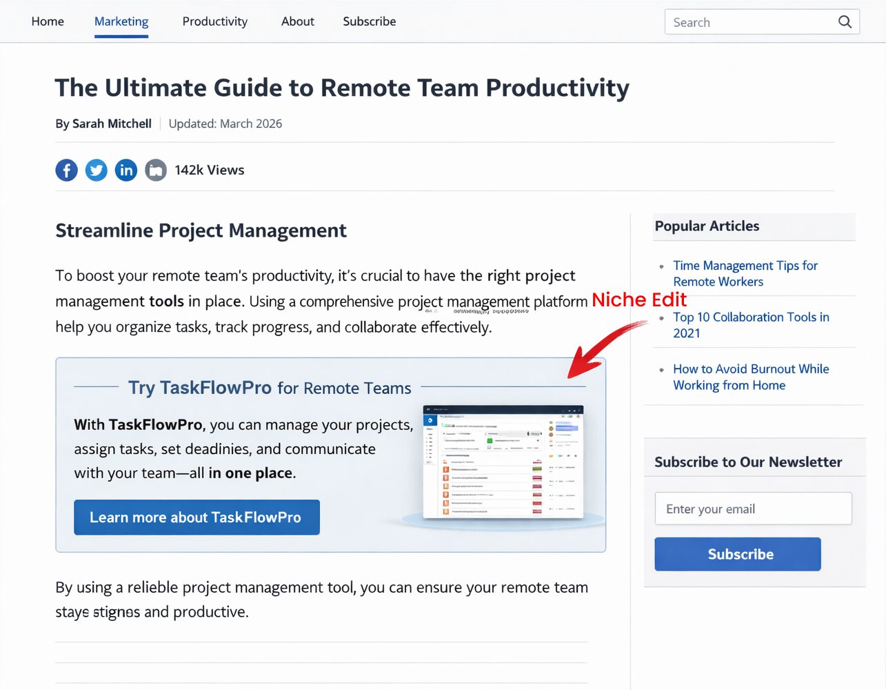 niche edit backlink example