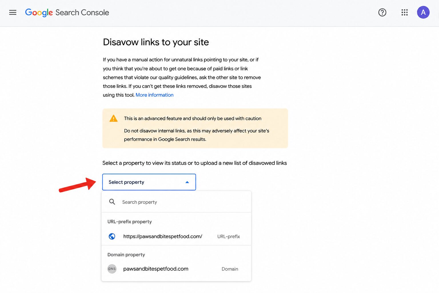 select correct search console property