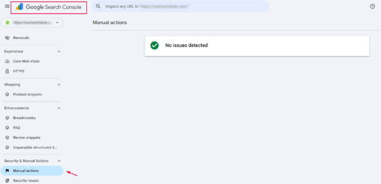 google search console report showing no issues detected under manual actions