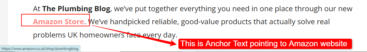 Example showing anchor text in a plumbing article linking the phrase “Amazon Store” to an Amazon page.