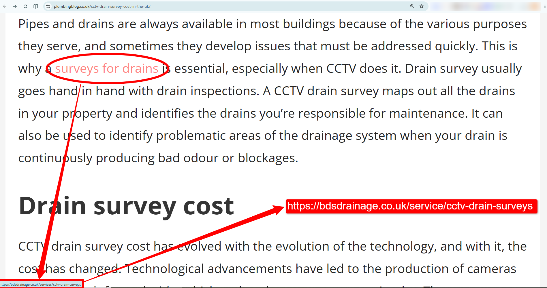 Example of a relevant backlink from a plumbing article to a drainage service page, illustrating why topical relevance and real traffic matter.
